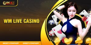 wm live casino