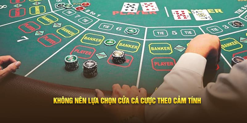 Không nên lựa chọn cửa cá cược theo cảm tính