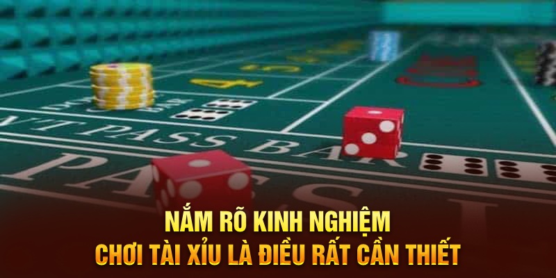 Nắm rõ kinh nghiệm chơi Tài Xỉu là điều rất cần thiết 