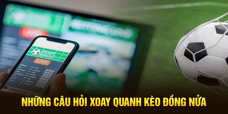 Những câu hỏi xoay quanh kèo đồng nửa