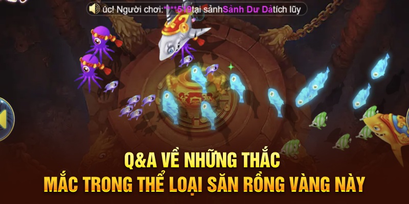 Q&A về những thắc mắc trong thể loại săn rồng vàng này